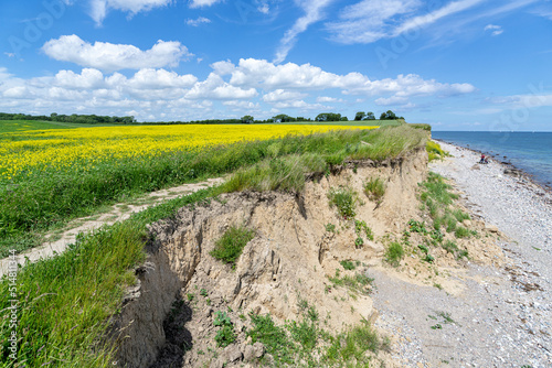 Fototapeta Naklejka Na Ścianę i Meble -  cliffed coast at the Baltic Sea in Schönhagen, Germany