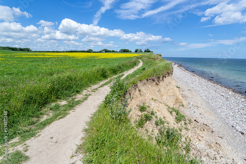 cliffed coast at the Baltic Sea in Schönhagen, Germany photo