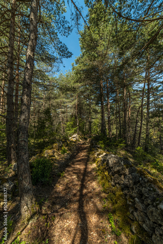 Chemin bucolique sur le causse Méjean à Saint-Pierre-des-Tripiers, Lozère, France