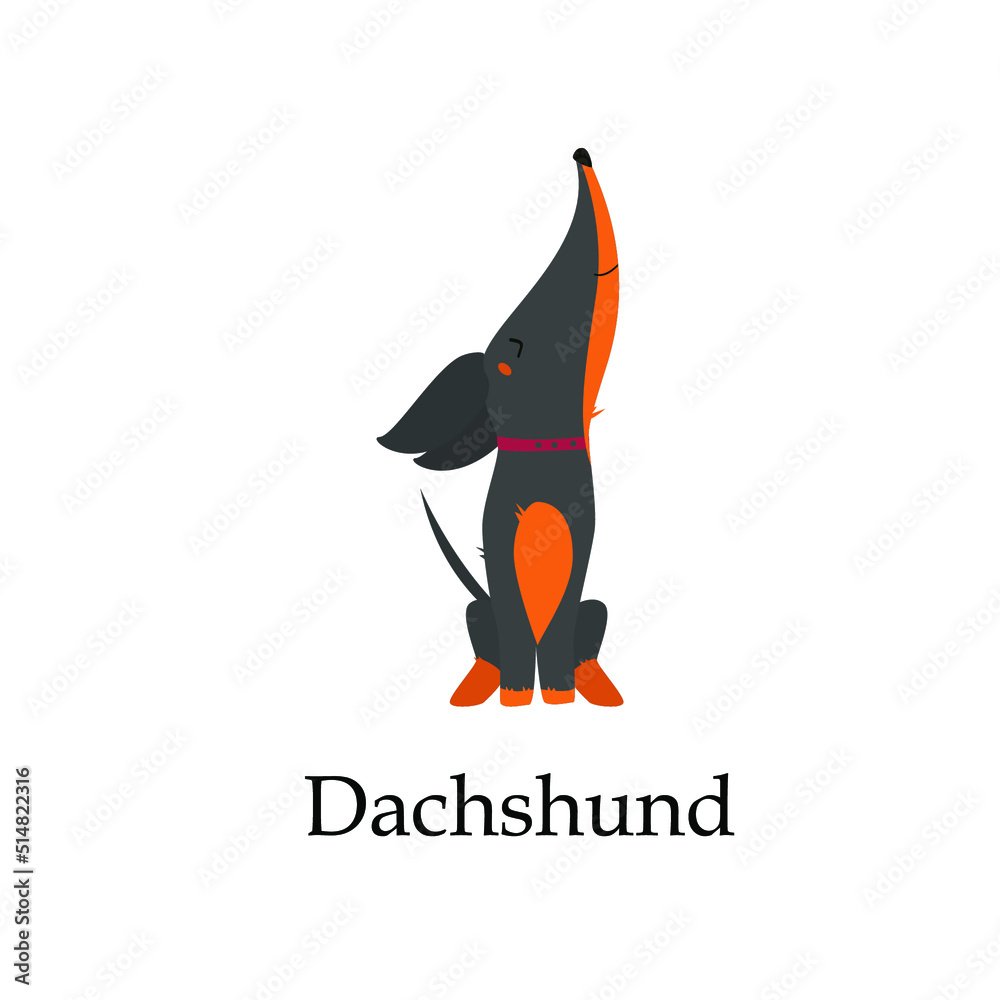 Beautiful cartoon illustration with black dachshund in cartoon style on white background for print design. Colorful vector illustration. Beautiful cartoon illustration with black dachshund in cartoon style on white background for print design. Colorful vector illustration.