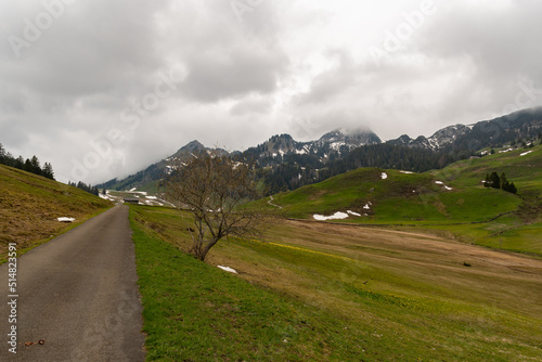 Rural field in an alpine region in Alt Saint Johann in Switzerland