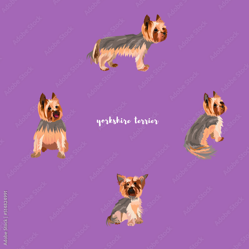 Vector illustration in different poses of a small dog breed. Flat ...