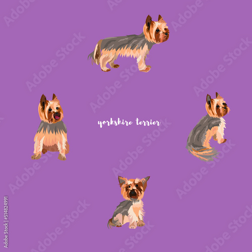 Vector illustration in different poses of a small dog breed. Flat design. Popular pet. Illustration with isolated yorkie on a white background. Print for fabrics, clothes.