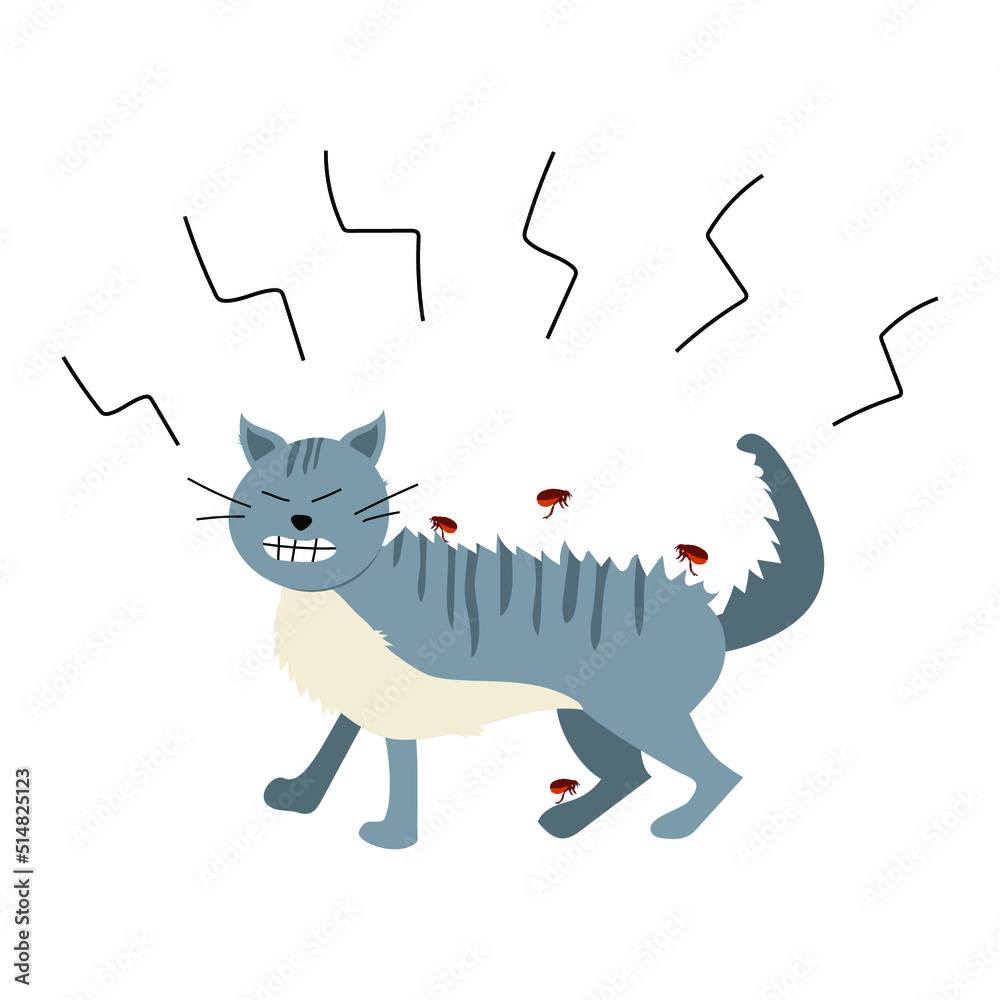 Vector illustration of a cat being attacked by fleas. The cat itches ...