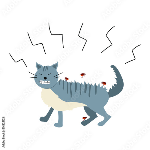 Vector illustration of a cat being attacked by fleas. The cat itches. Ectoparasite infestation. The kitten is bitten by fleas. Angry cat. Actual summer illustration on the theme of animals.
