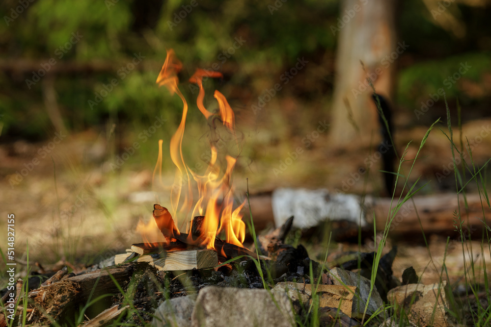 Close up of burning timber bonfire in summer forest..The concept of adventure, travel, tourism, camping, survival and evacuation. Close up of burning timber bonfire in summer forest..The concept of adventure, travel, tourism, camping, survival and evacuation.