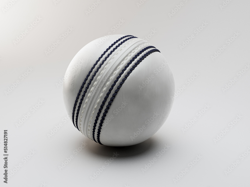White Cricket Ball White Cricket Ball