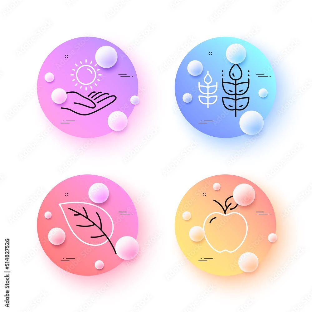 Gluten free, Leaf and Sun protection minimal line icons. 3d spheres or balls buttons. Apple icons. For web, application, printing. Bio ingredients, Environmental, Ultraviolet care. Fresh fruit. Vector Gluten free, Leaf and Sun protection minimal line icons. 3d spheres or balls buttons. Apple icons. For web, application, printing. Bio ingredients, Environmental, Ultraviolet care. Fresh fruit. Vector