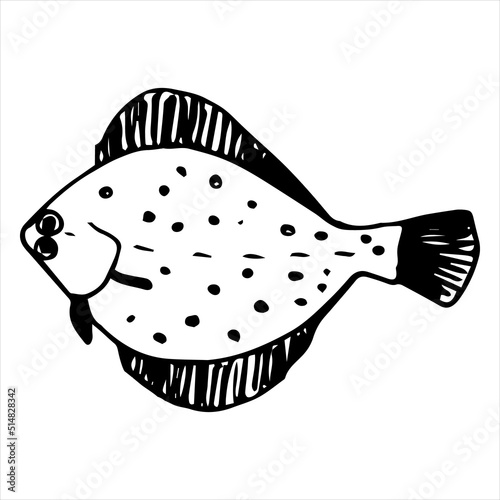 Single vector element is a flounder fish.