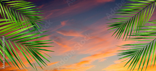 travel background palm leaves at the sunset © izzetugutmen