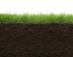 Soil with lush green grass on white background