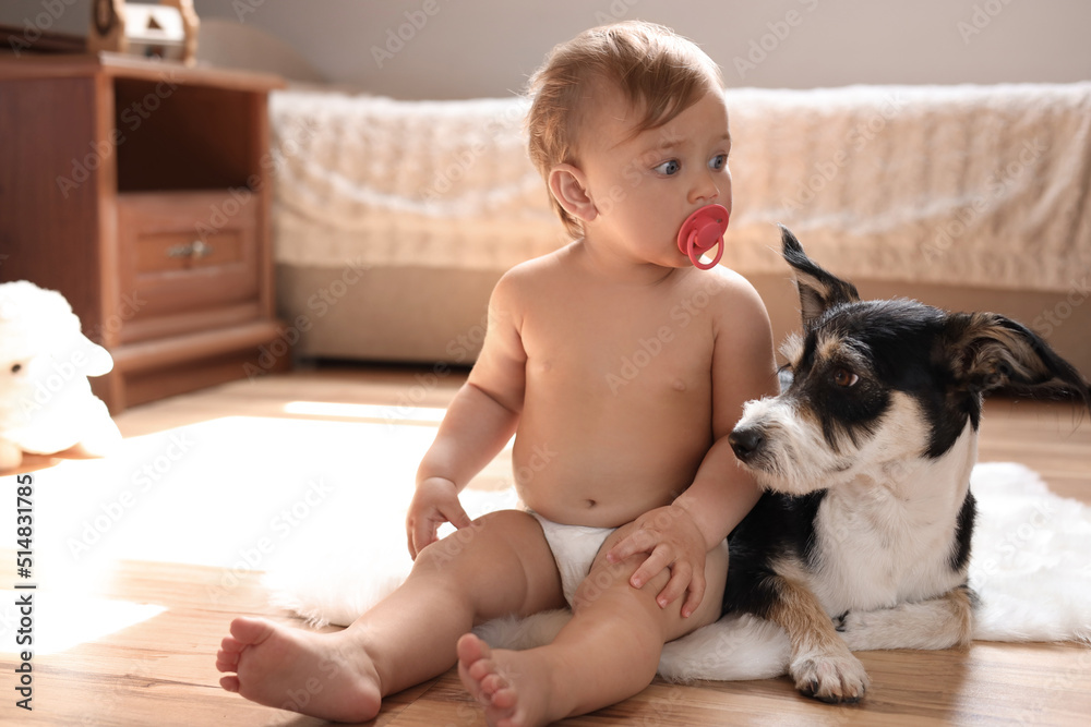 Adorable baby with pacifier and cute dog on faux fur rug at home, space for text Adorable baby with pacifier and cute dog on faux fur rug at home, space for text