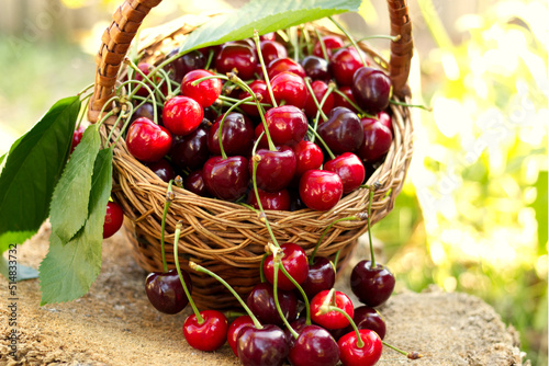 A basket of cherries