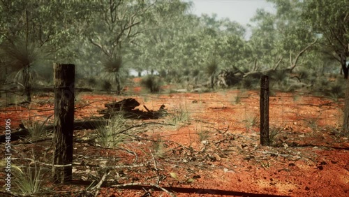 Dingoe fence in the Australian Outback photo