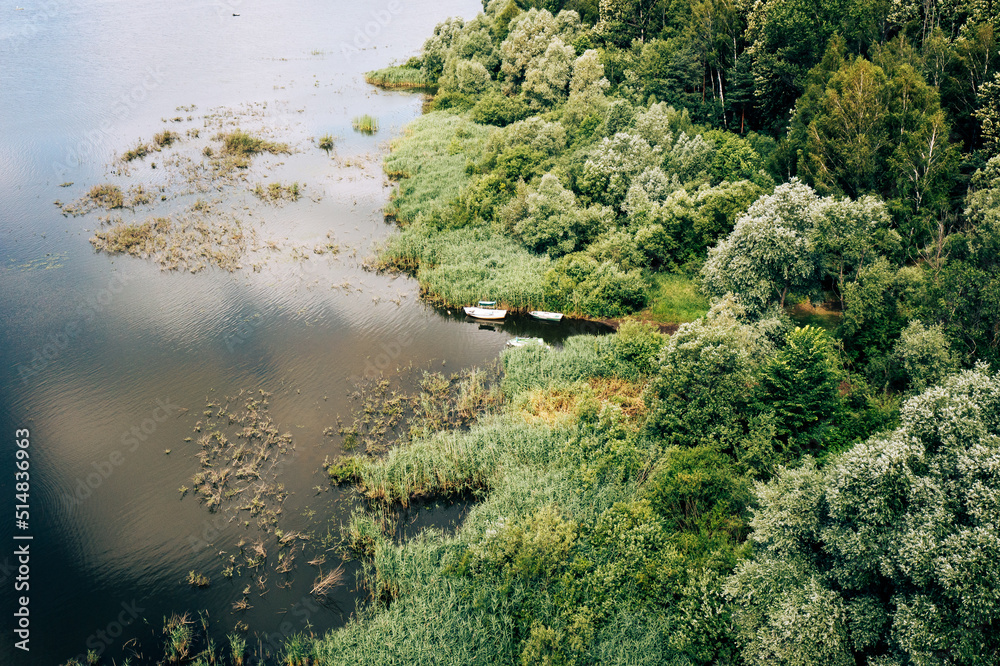 The green backwaters of the river, the habitat of wild animals. Aerial view. The green backwaters of the river, the habitat of wild animals. Aerial view.
