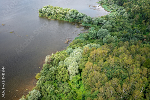 The green backwaters of the river, the habitat of wild animals. Aerial view. 