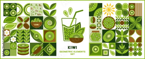 Set of design elements, logo with kiwi in simple geometric style. Abstract shapes. Good for branding, decoration of food package, cover design, decorative print, background.