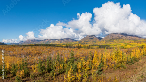 Fototapeta Naklejka Na Ścianę i Meble -  The remarkable, stunning, autumn, fall landscape of Yukon Territory in Northern Canada. Highway, road trip shot with mountain views.