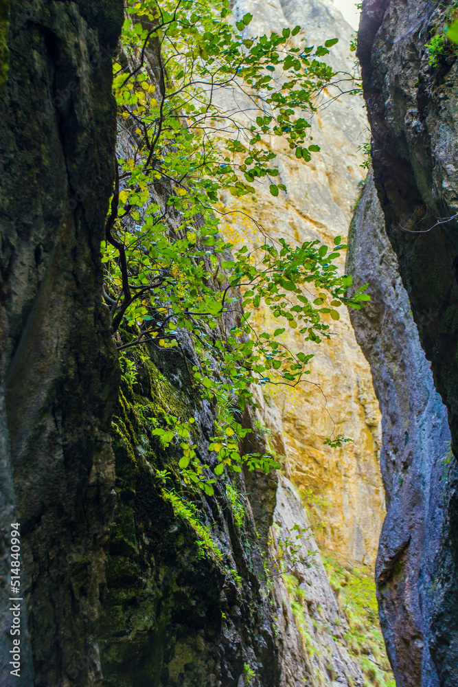 La Yecla gorge, Burgos, Spain La Yecla gorge, Burgos, Spain
