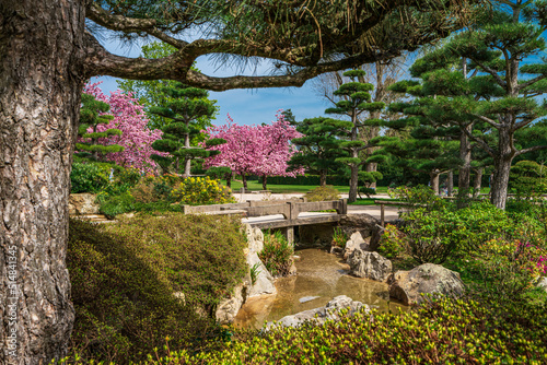  Japanese garden in Nordpark, Dusseldorf, Germany photo
