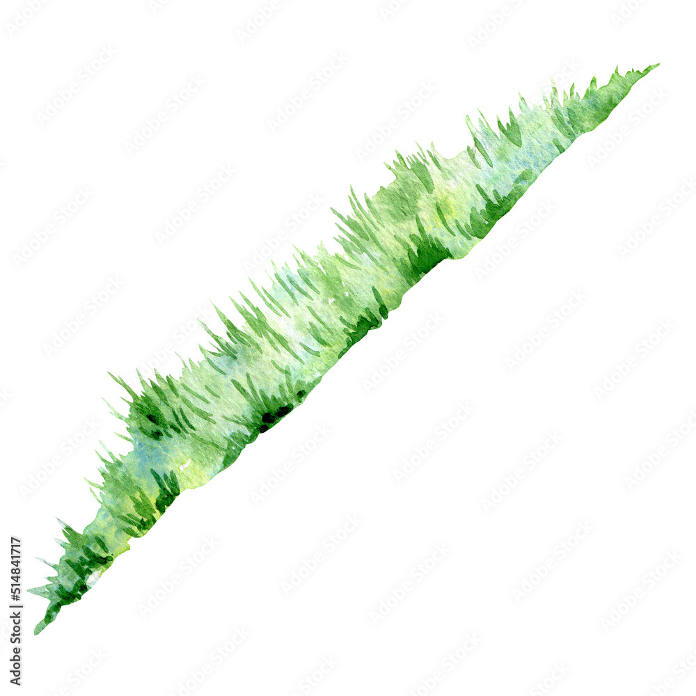 Watercolor grass, hand painted illustration Watercolor grass, hand painted illustration