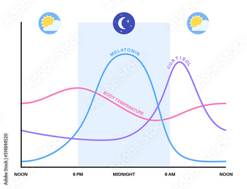 Obraz na płótnie Sleep wake cycle