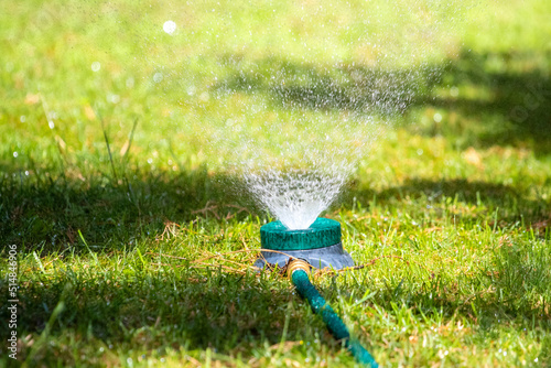 Sprinkler spraying water, watering the garden