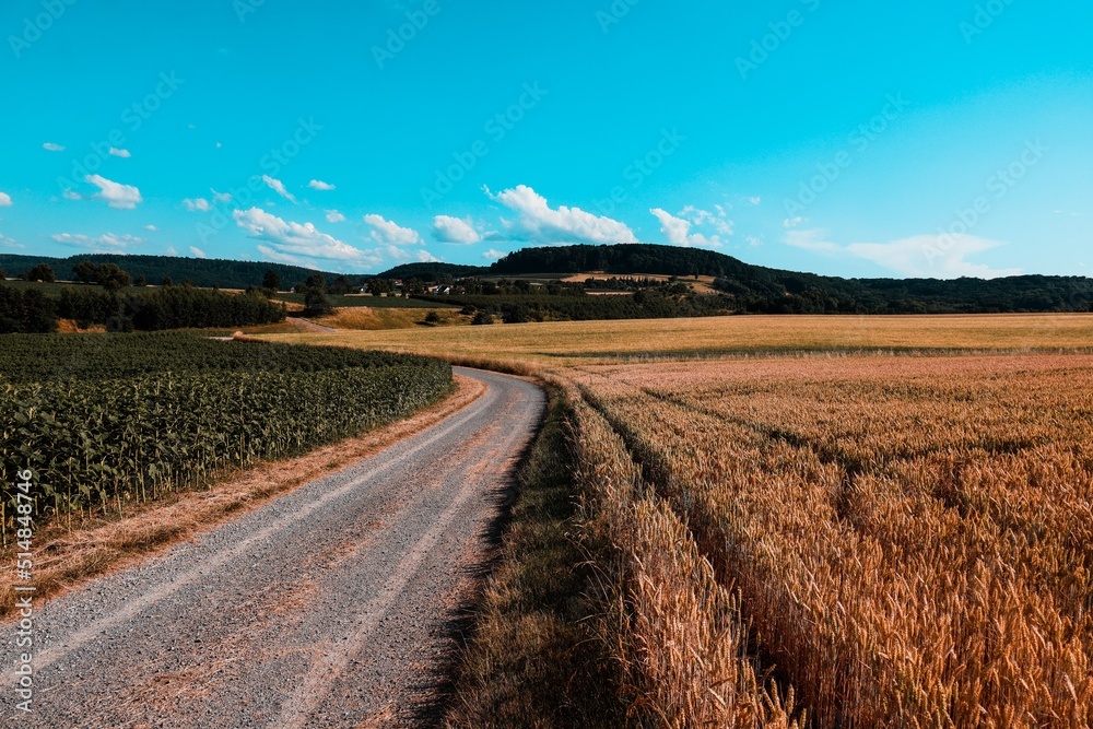 A Hut in the Fields, Landscape in Hohenlohe, Baden-Württemberg, Germany, Europe.