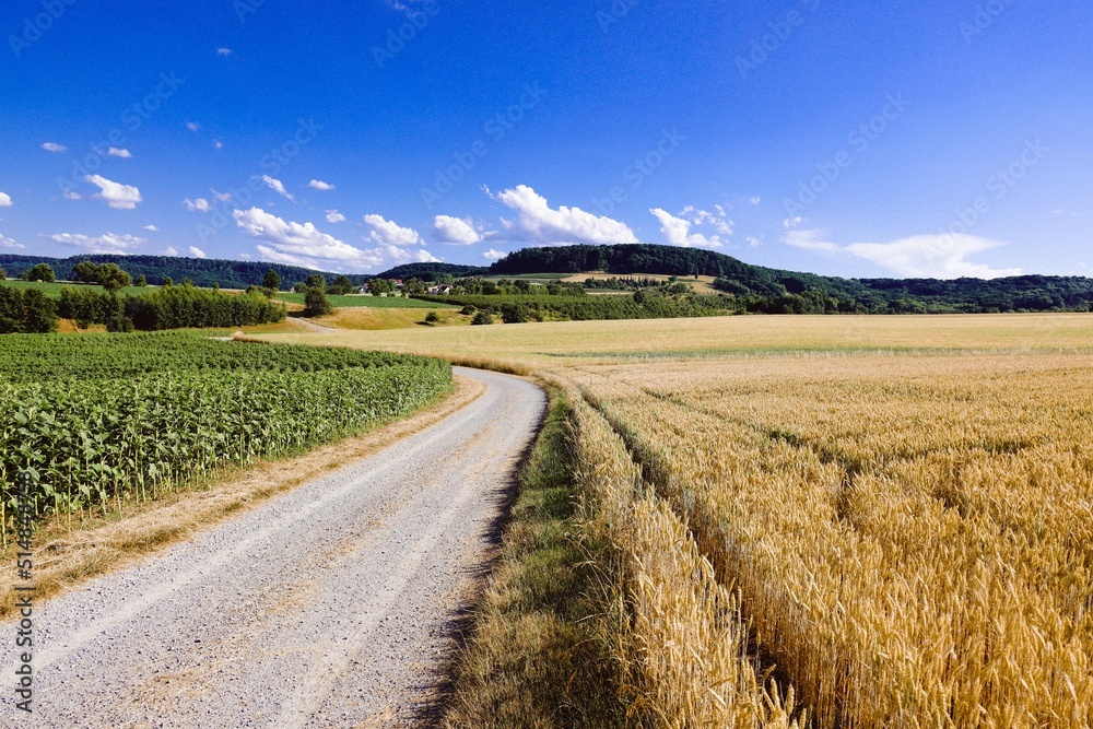 A Hut in the Fields, Landscape in Hohenlohe, Baden-Württemberg, Germany, Europe.