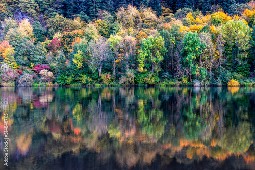 Moselle River, Germany