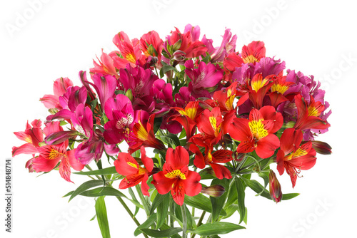 Bouquet of beautiful alstroemeria flowers isolated on white background, closeup