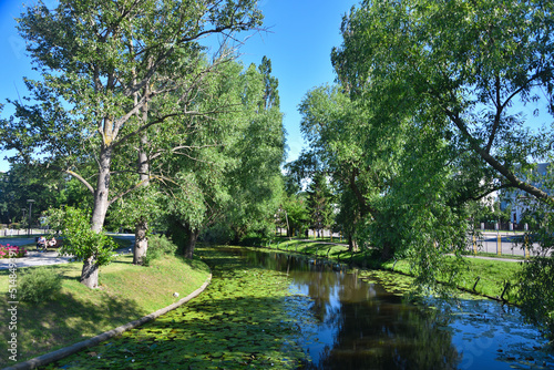 Rzeka płynąca przez park miejski