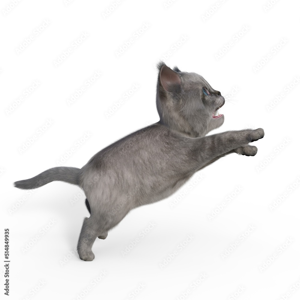 3d-illustration of an isolated cute baby cat jumping