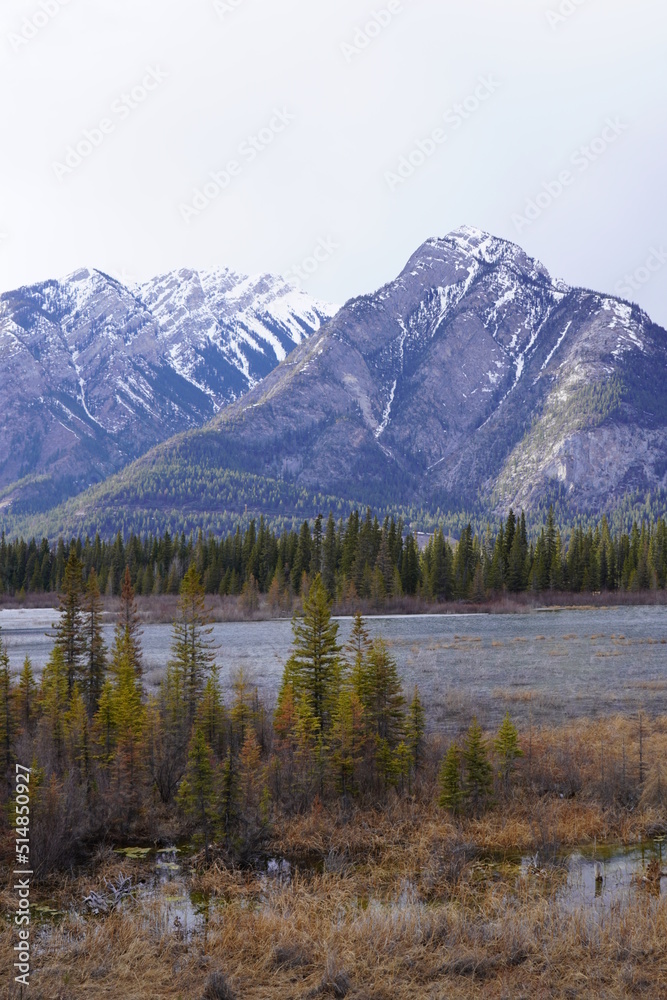 Banff Landscape and Nature Photos