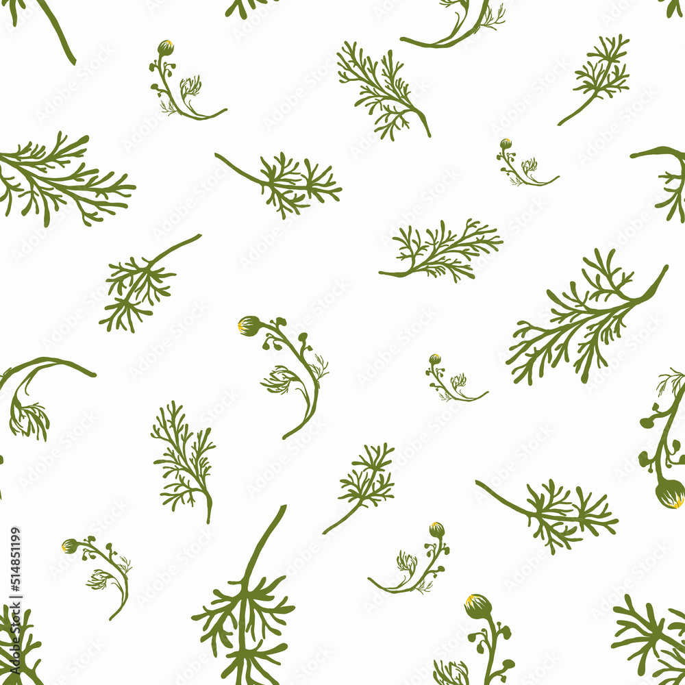 A pattern of chamomile grass and leaves on a white background.For fabrics, for printing brochures, posters, parties, vintage textile design, postcards, packaging