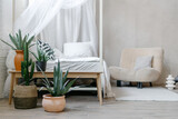 House plants on wooden bench against comfortable bed