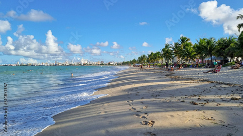 beach with palm trees and skyline