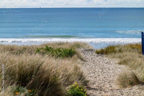 Fototapeta Naklejka Na Ścianę i Meble -  Sandy path through dunes to ocean beach at Mount Maunganui