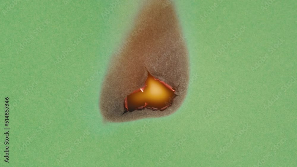 Fire flame texture close-up. Burning green paper on black chroma key background. 