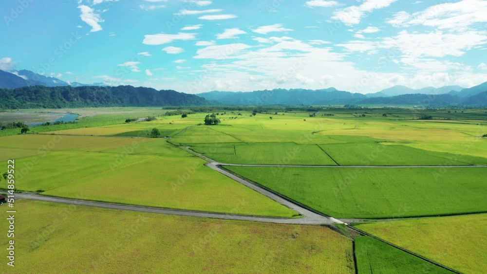 Aerial view of agriculture in rice fields for cultivation
Aerial view of agriculture in rice fields for cultivation