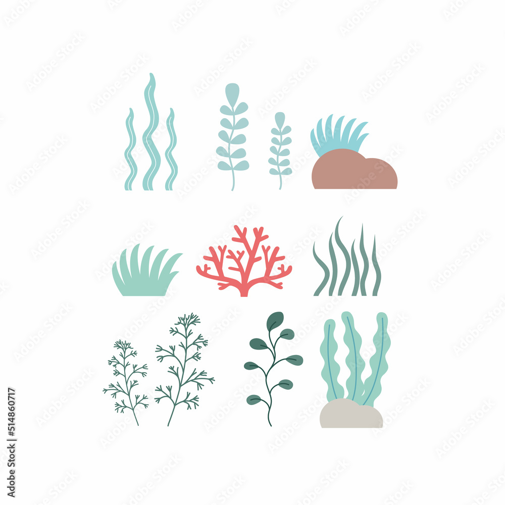 Set of seaweed and coral on a white background. Clipart algae and marine plants, set of icons. Cartoon vector illustration.