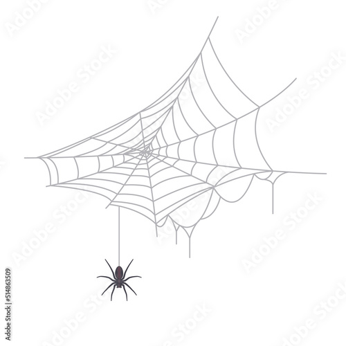 Vector illustration of spider and spiderweb isolated on background.