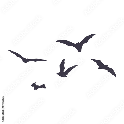 Tableau sur toile Vector illustration of  flying bats isolated on background.