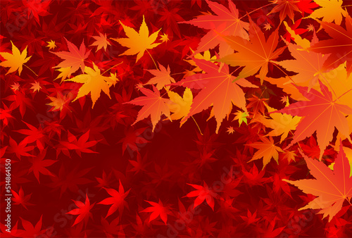 紅葉　もみじ　秋　背景