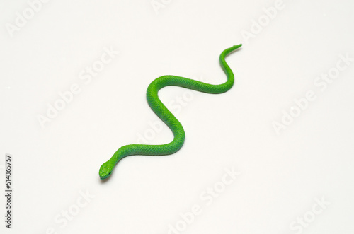 green rubber toy snake isolated on white background
