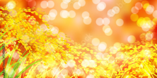 米　稲　秋　背景