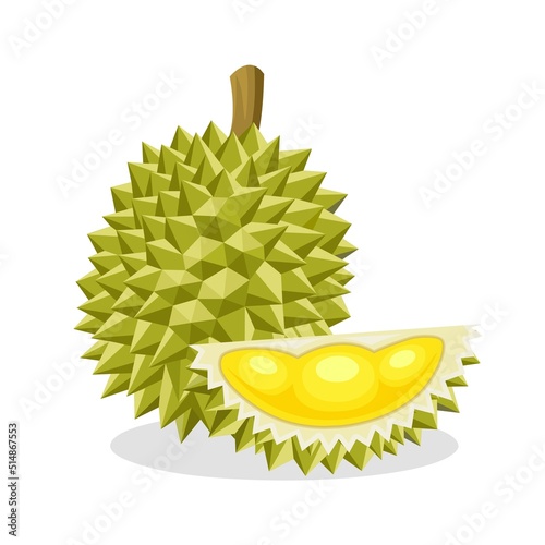 Vector illustration of durian fruit, a fruit that has been called the king of fruits in Southeast Asia. isolated on a white background.