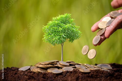 man hand put coins money to fertilize the growth plant , business investment, finance and accounting concept