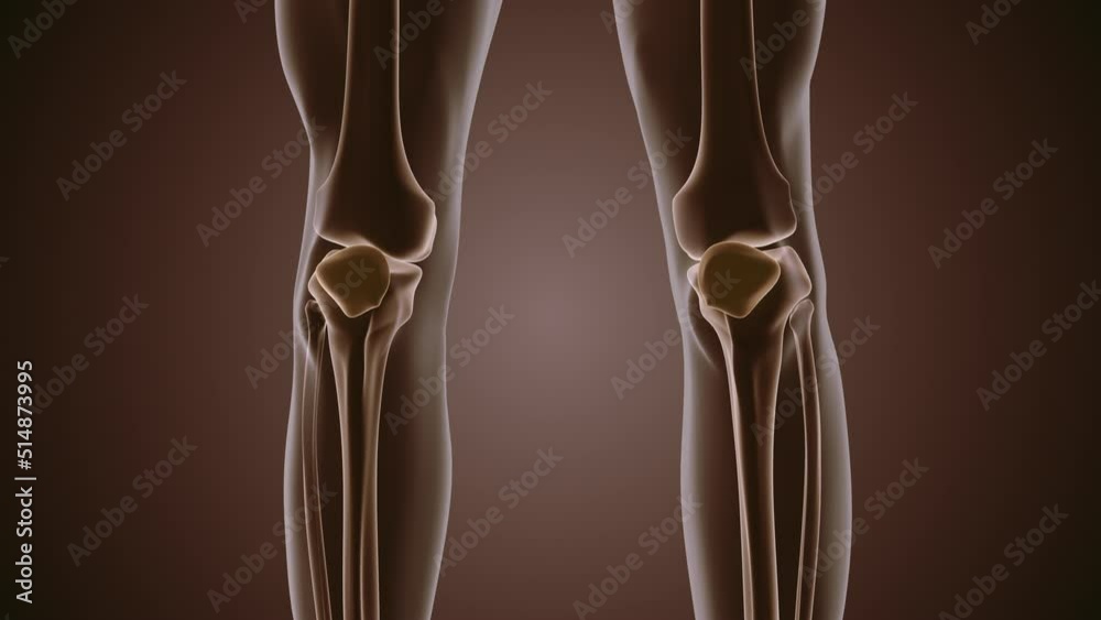 Medical background animation of pain in the knee join Medical background animation of pain in the knee join