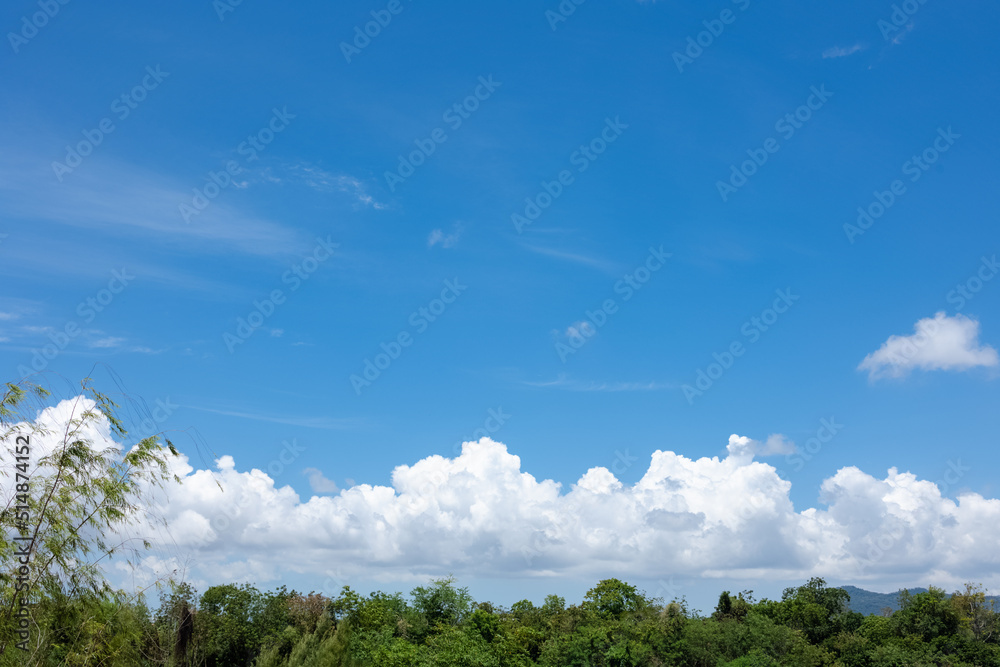 textured of cloud on blue sky above forest